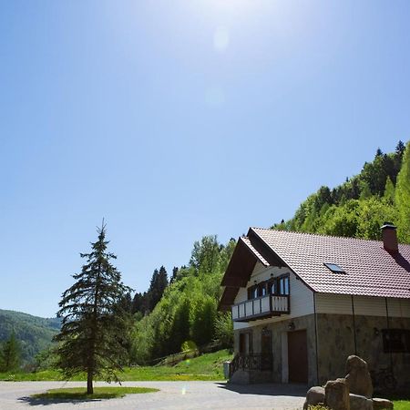 Villa Kamyanka Jaremtsche Exterior foto